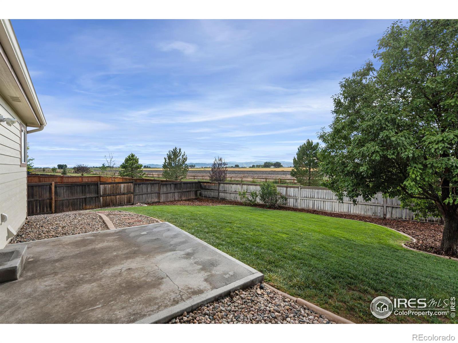 MLS Image #29 for 6679  cranesbill street,wellington, Colorado