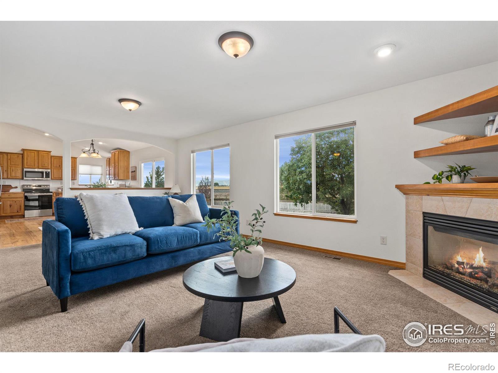 MLS Image #3 for 6679  cranesbill street,wellington, Colorado