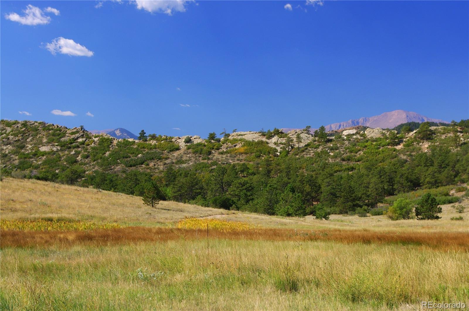 MLS Image #25 for 87  saddlemountain road,colorado springs, Colorado