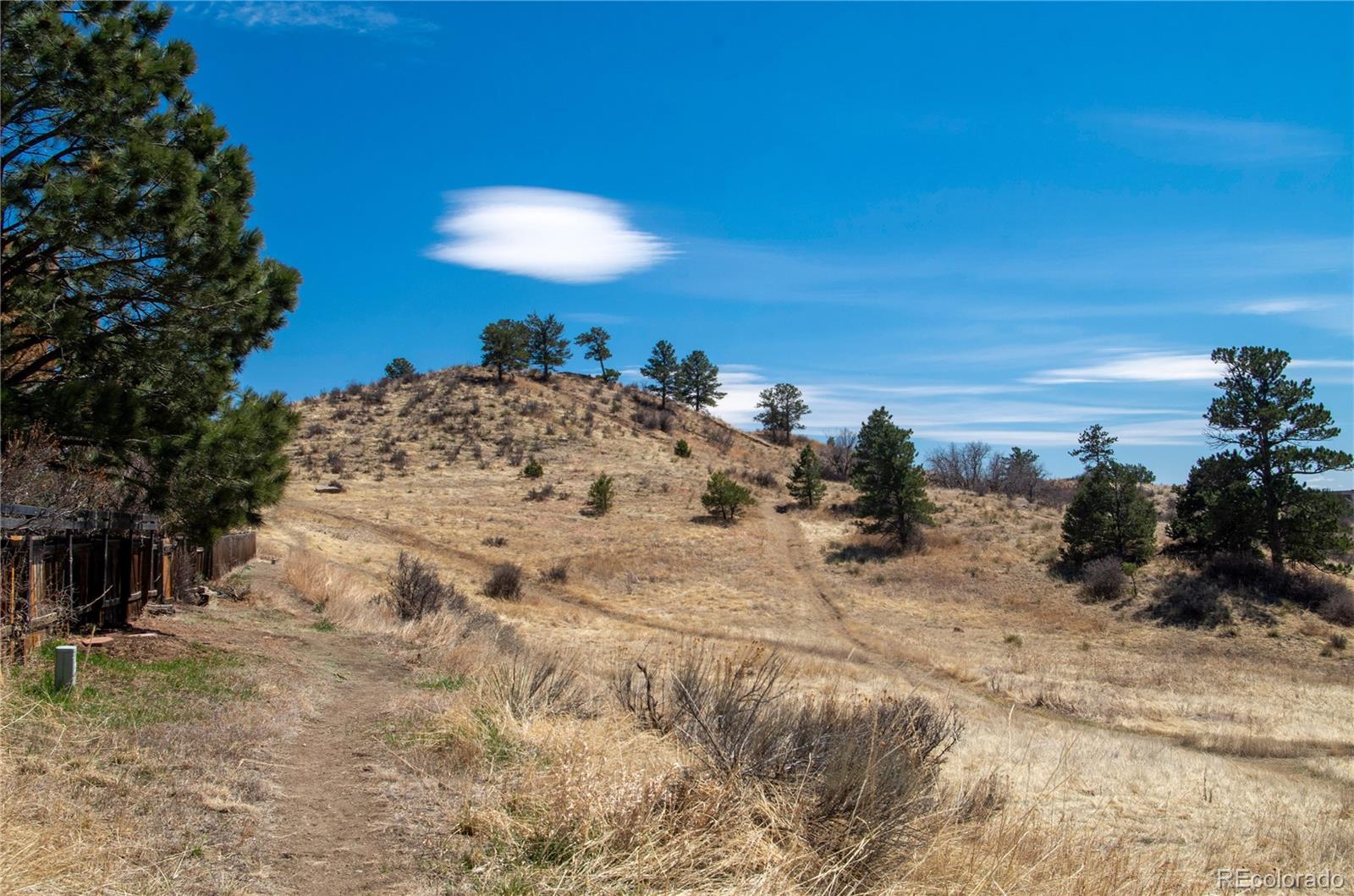 MLS Image #27 for 87  saddlemountain road,colorado springs, Colorado