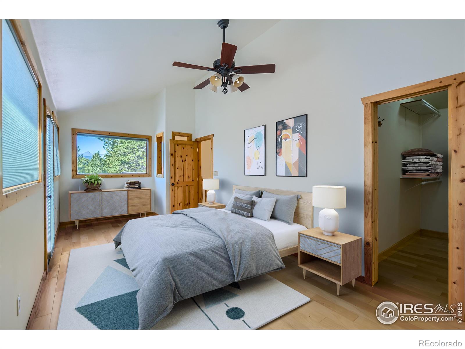 MLS Image #12 for 113  bramer road,ward, Colorado