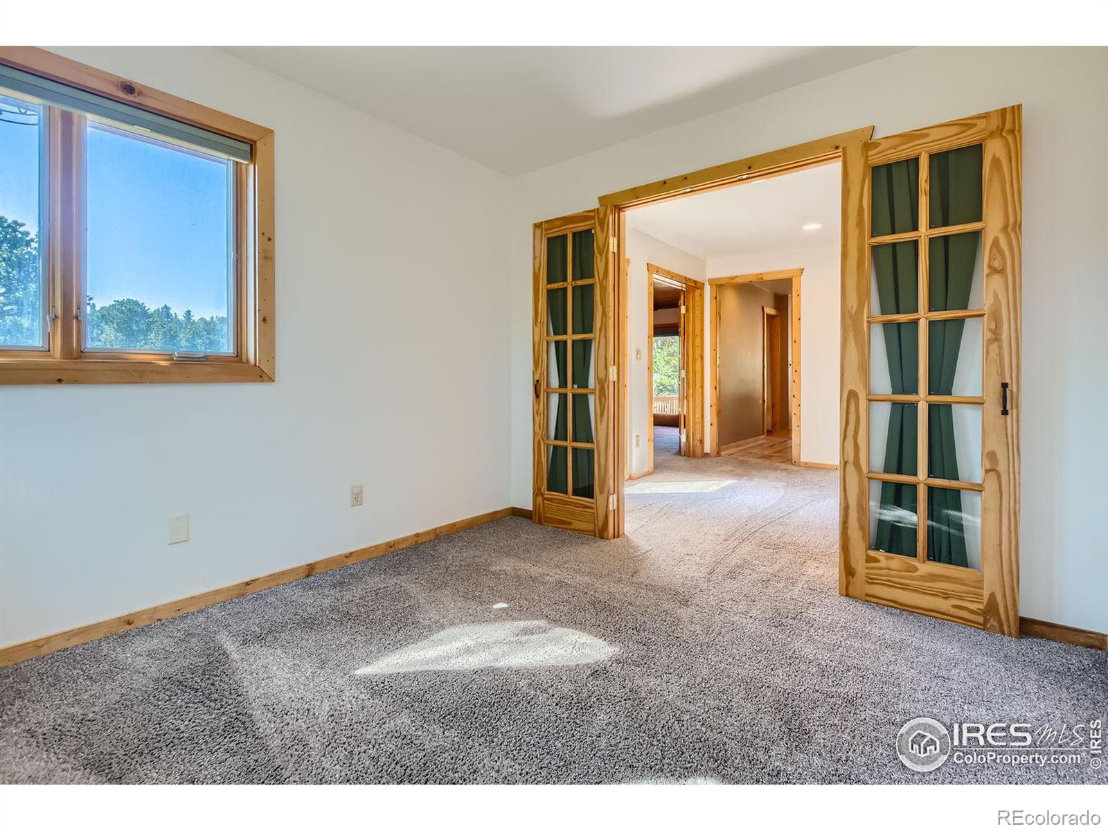 MLS Image #15 for 113  bramer road,ward, Colorado