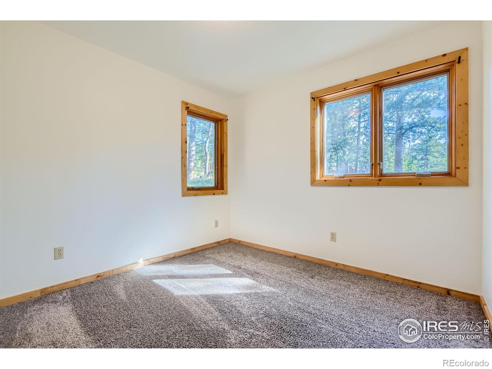 MLS Image #17 for 113  bramer road,ward, Colorado