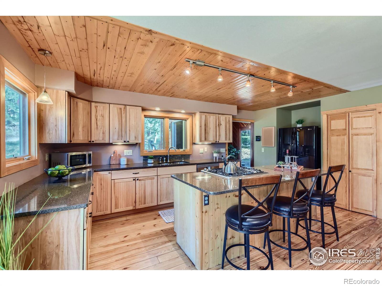 MLS Image #2 for 113  bramer road,ward, Colorado