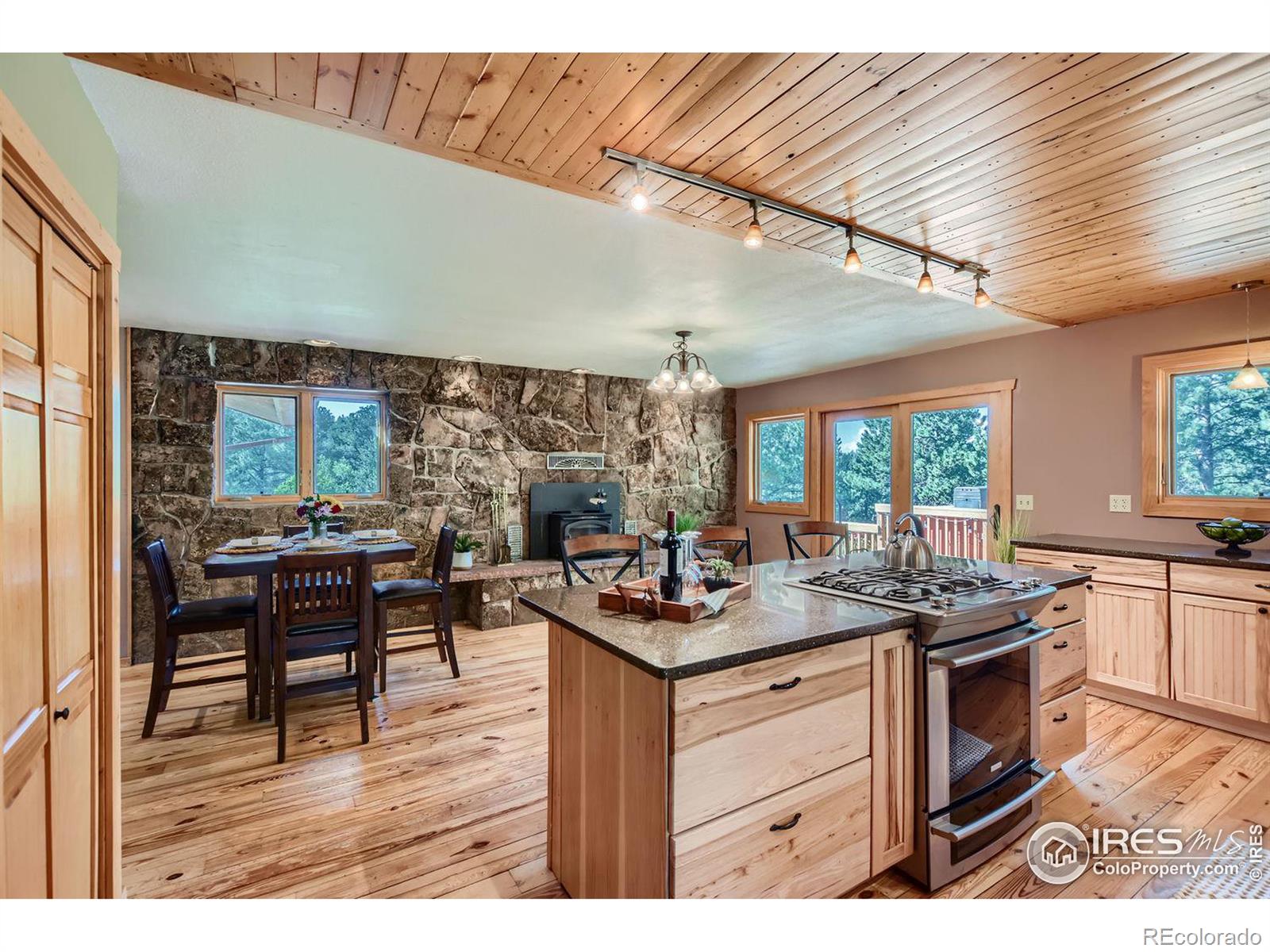 MLS Image #4 for 113  bramer road,ward, Colorado