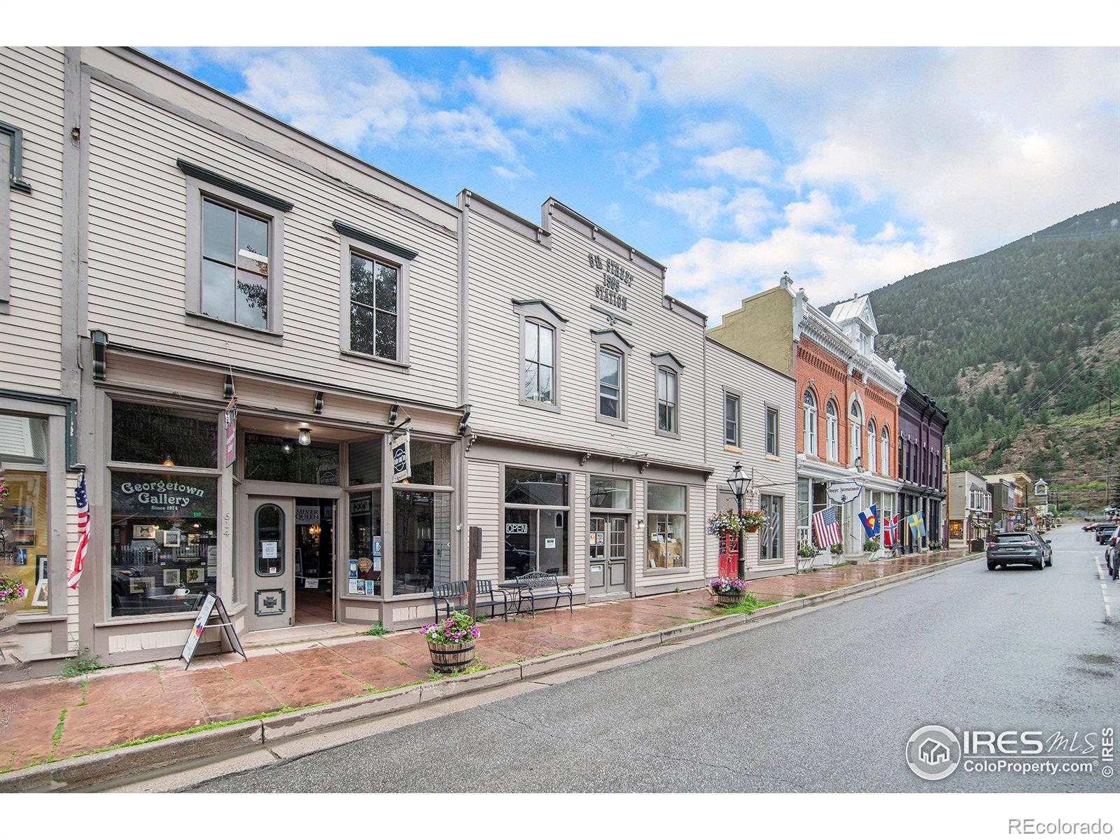 MLS Image #19 for 1890  argentine street,georgetown, Colorado