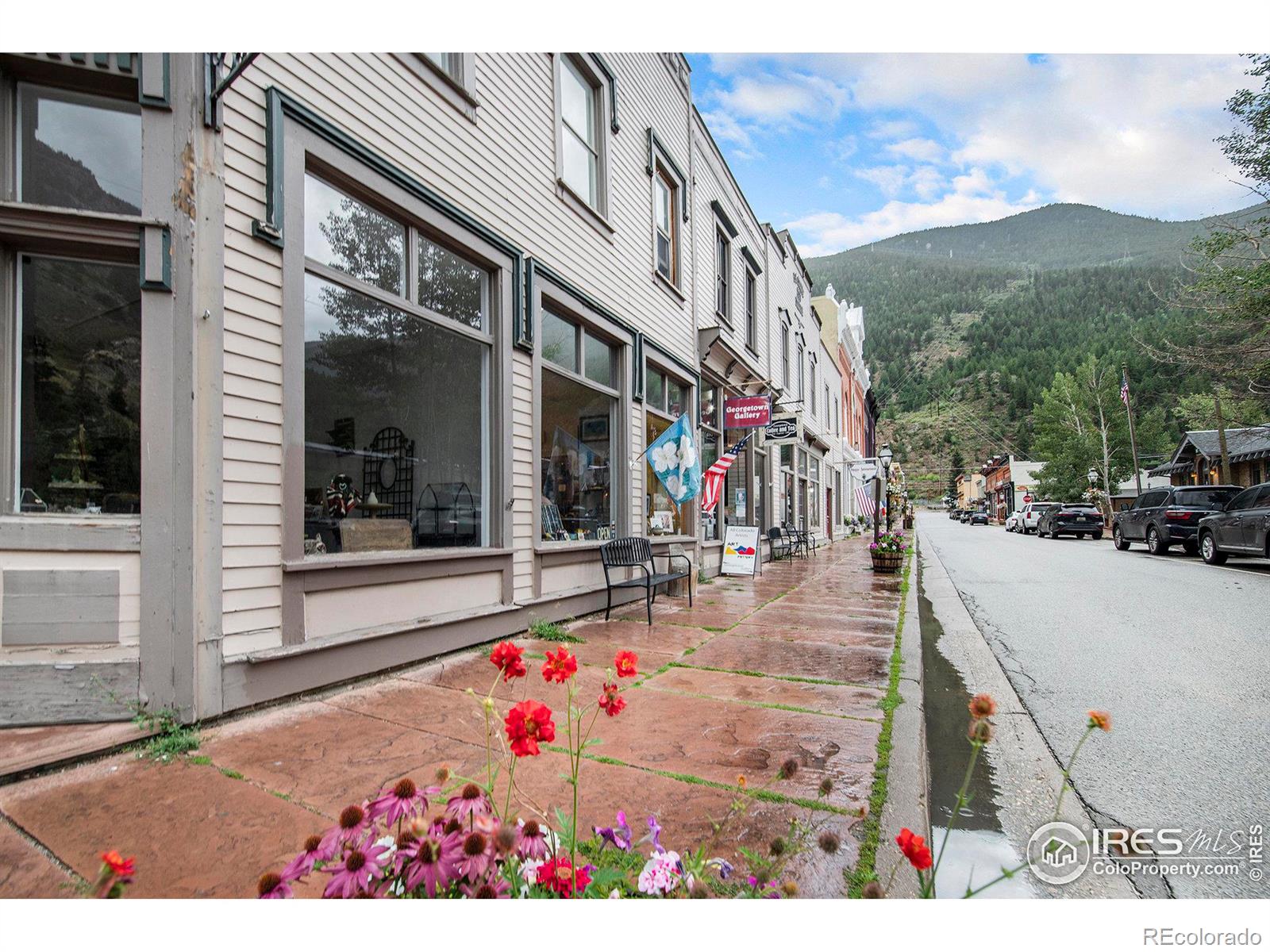 MLS Image #20 for 1890  argentine street,georgetown, Colorado