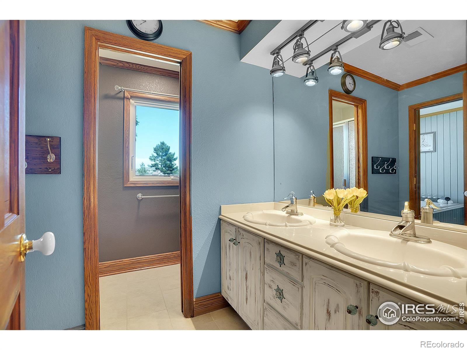 MLS Image #19 for 10690  county road 1 ,longmont, Colorado