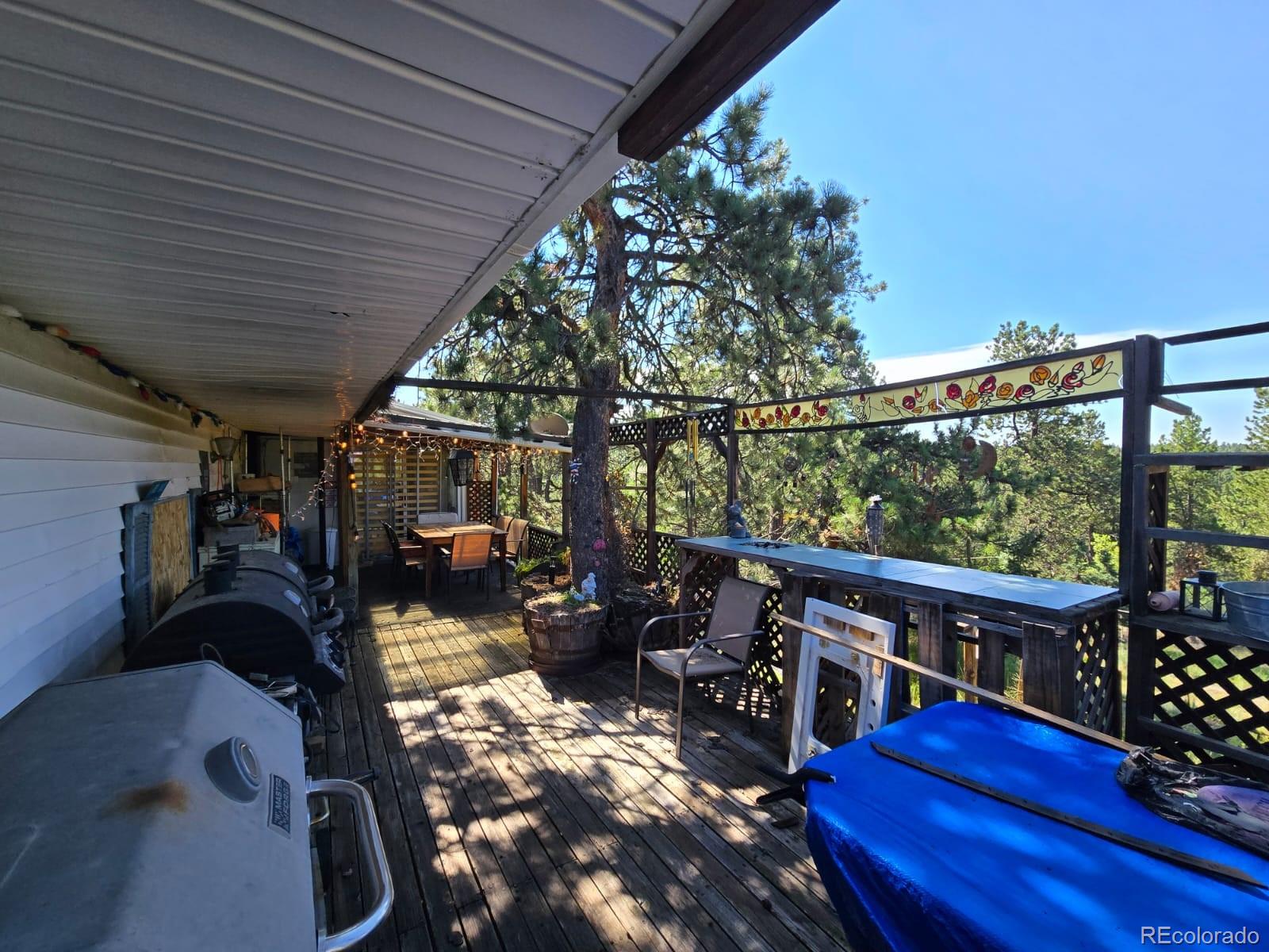 MLS Image #7 for 5273  cedar mountain road,divide, Colorado