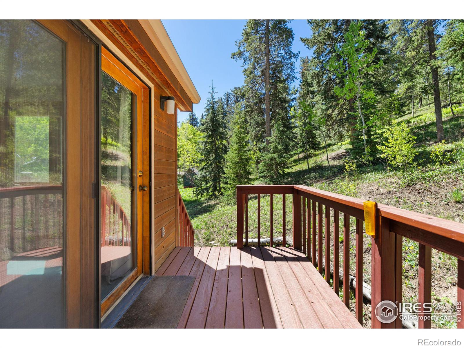 MLS Image #19 for 44  barker road,nederland, Colorado