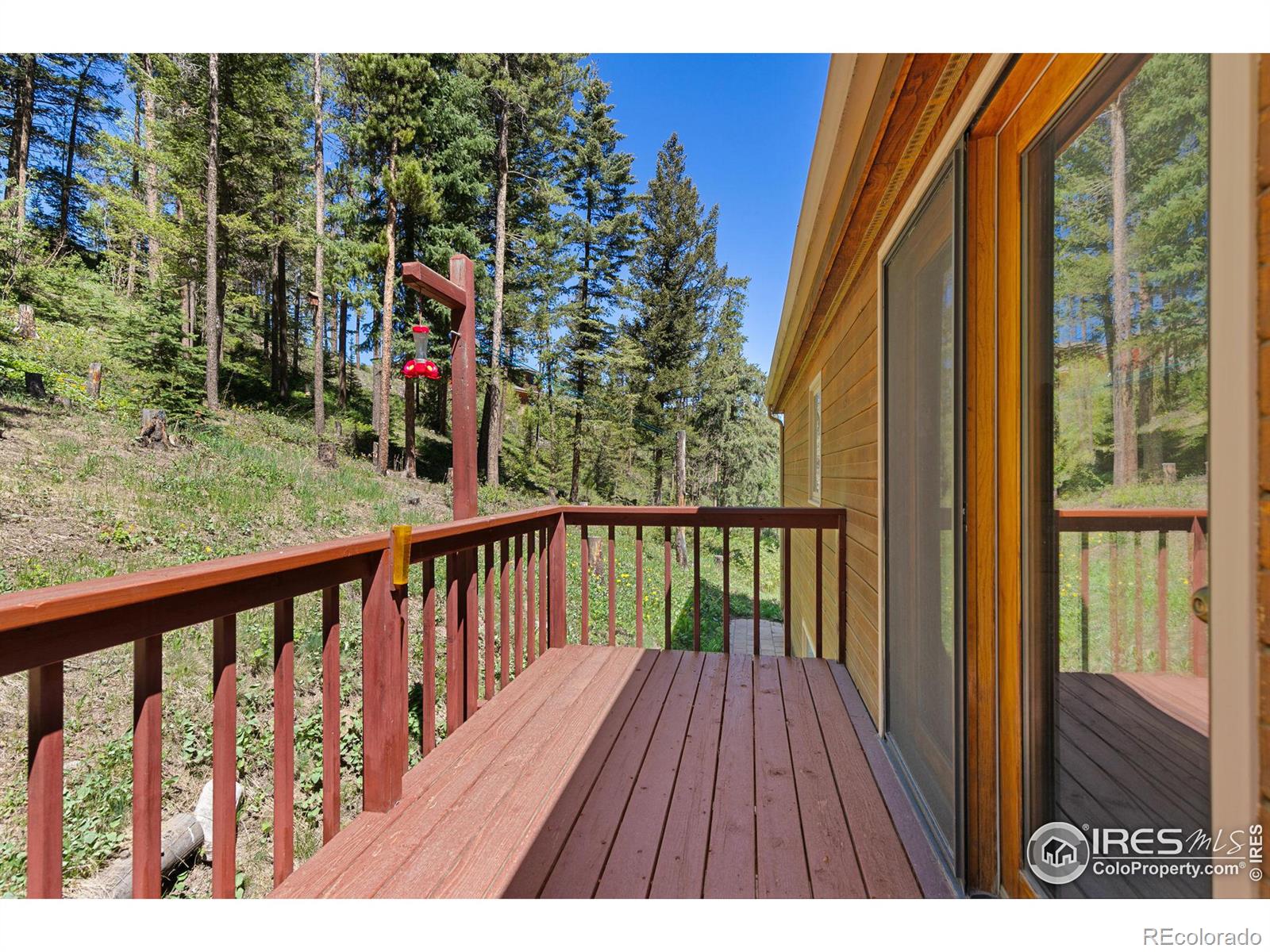 MLS Image #20 for 44  barker road,nederland, Colorado