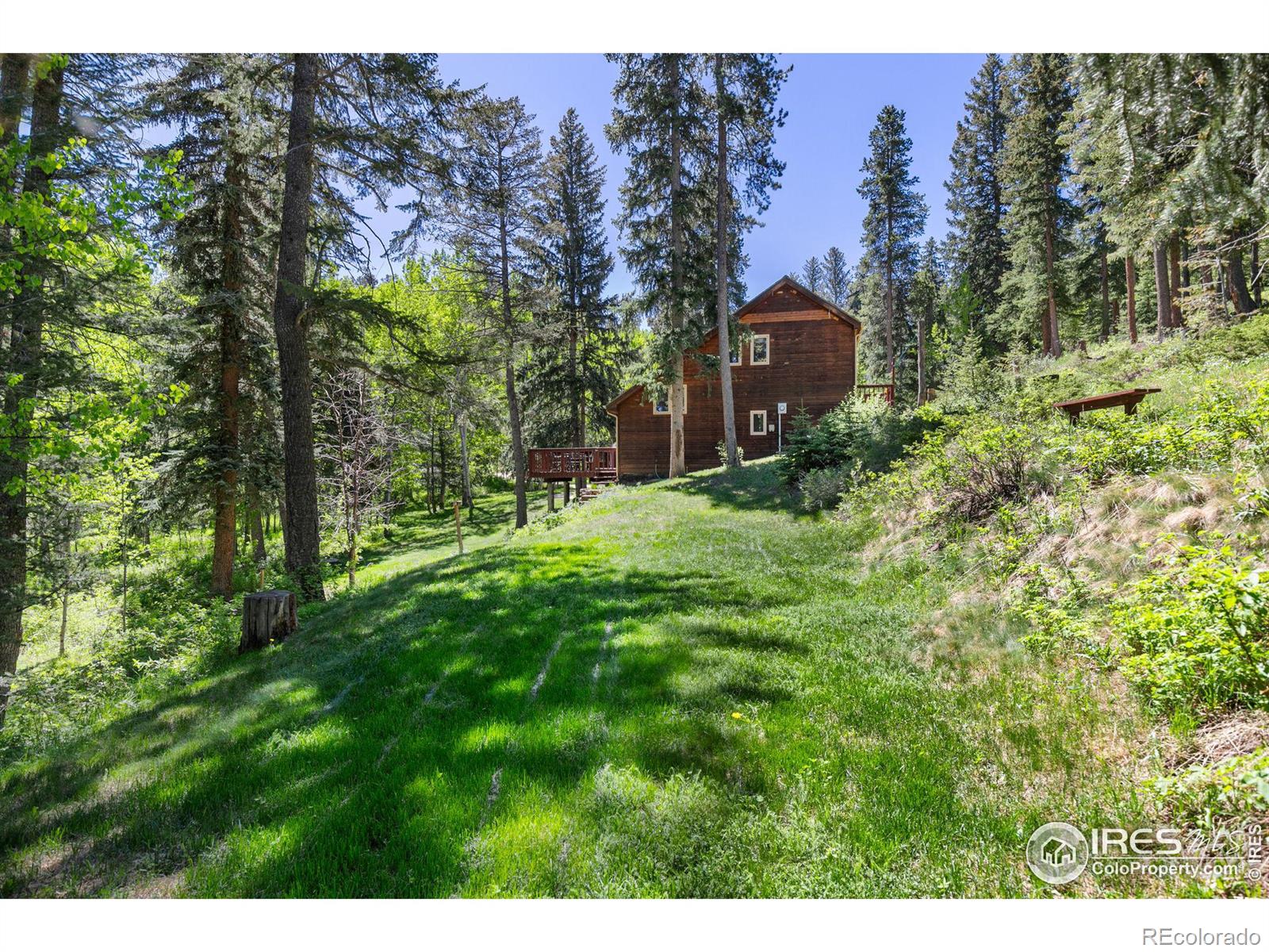 MLS Image #4 for 44  barker road,nederland, Colorado