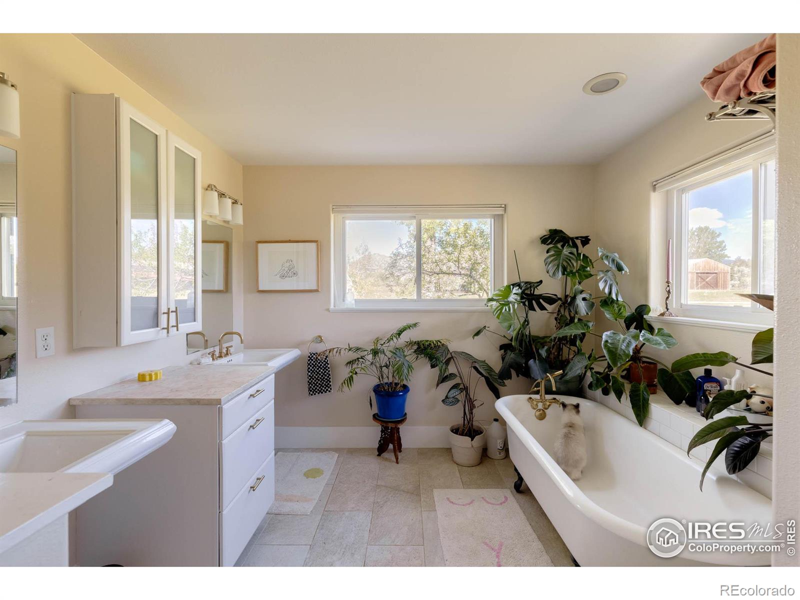 MLS Image #19 for 7713 n 41st street,longmont, Colorado