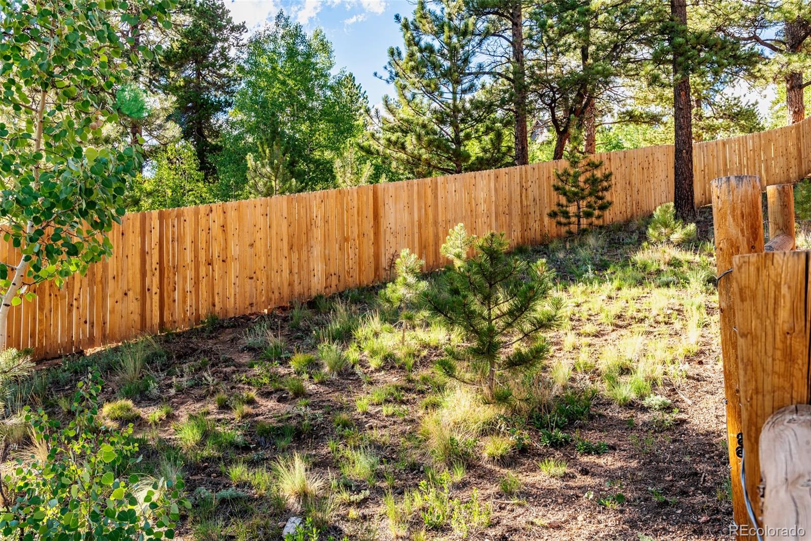 MLS Image #38 for 241  schooley road,bailey, Colorado