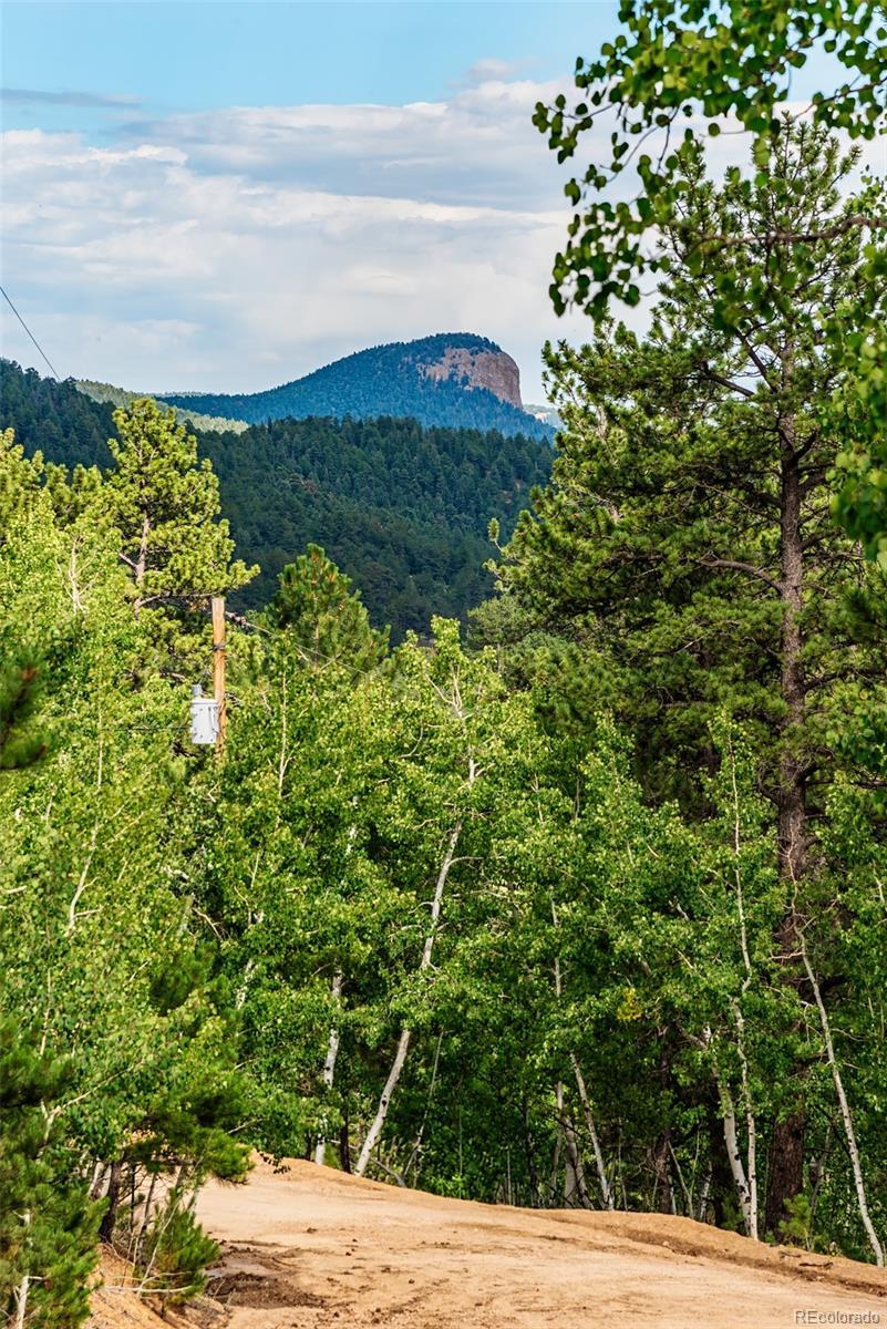 MLS Image #39 for 241  schooley road,bailey, Colorado