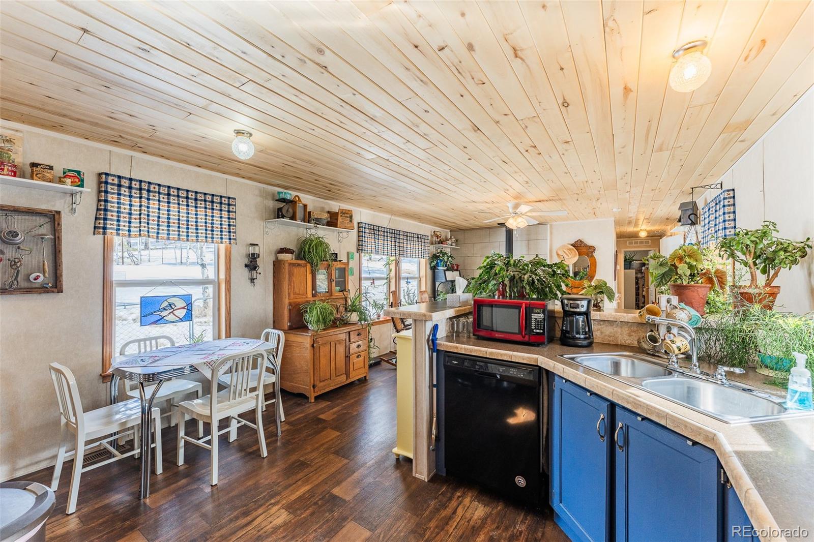 MLS Image #10 for 934  trail creek road,lake george, Colorado