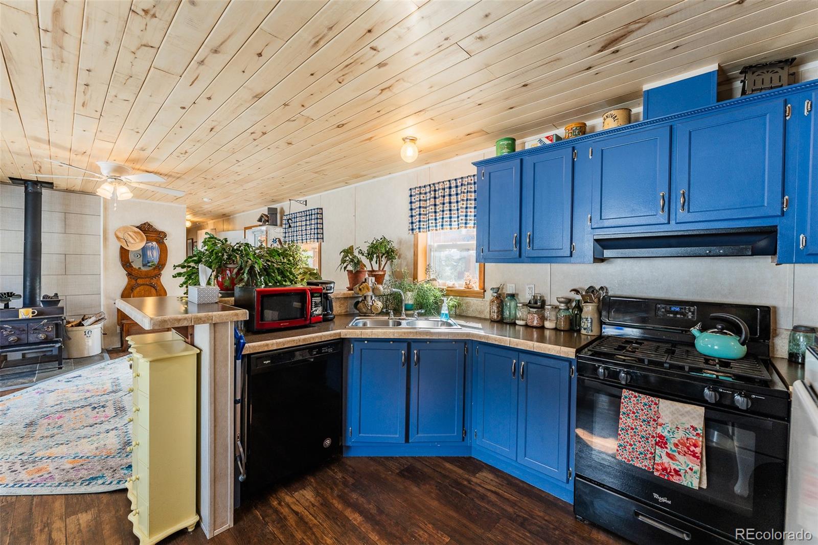 MLS Image #11 for 934  trail creek road,lake george, Colorado