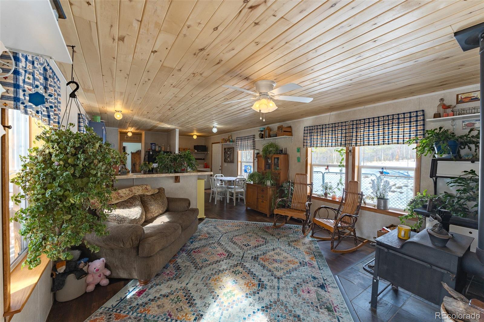 MLS Image #14 for 934  trail creek road,lake george, Colorado