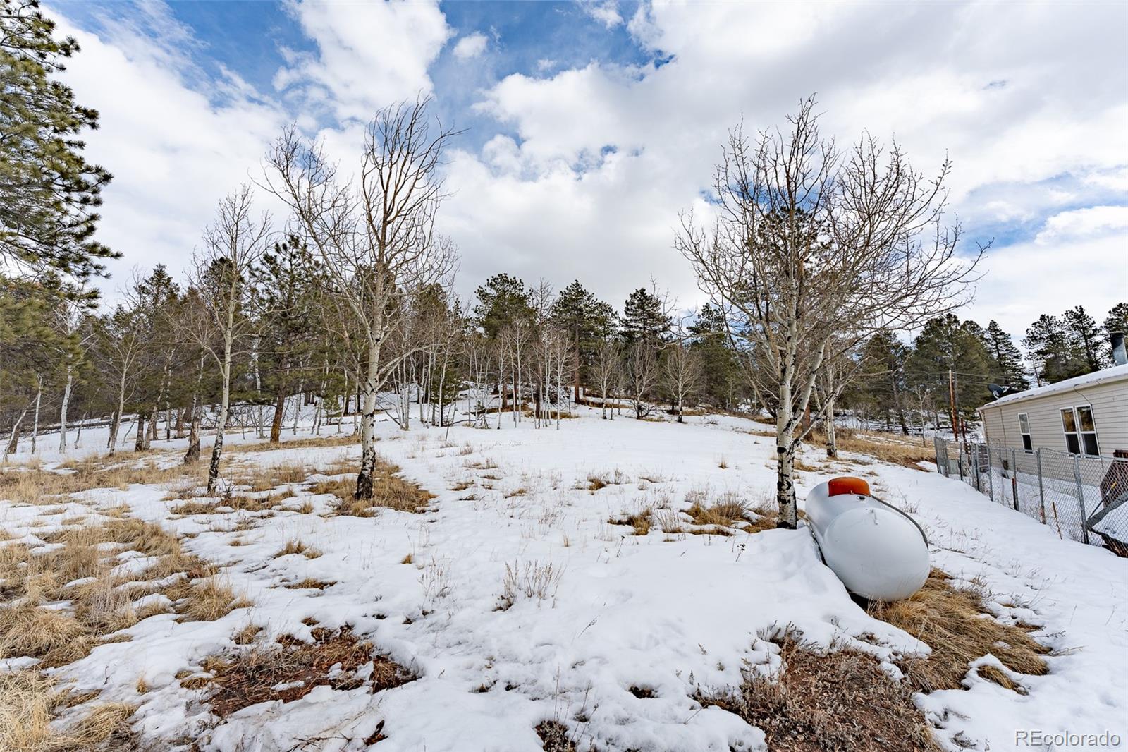 MLS Image #17 for 934  trail creek road,lake george, Colorado