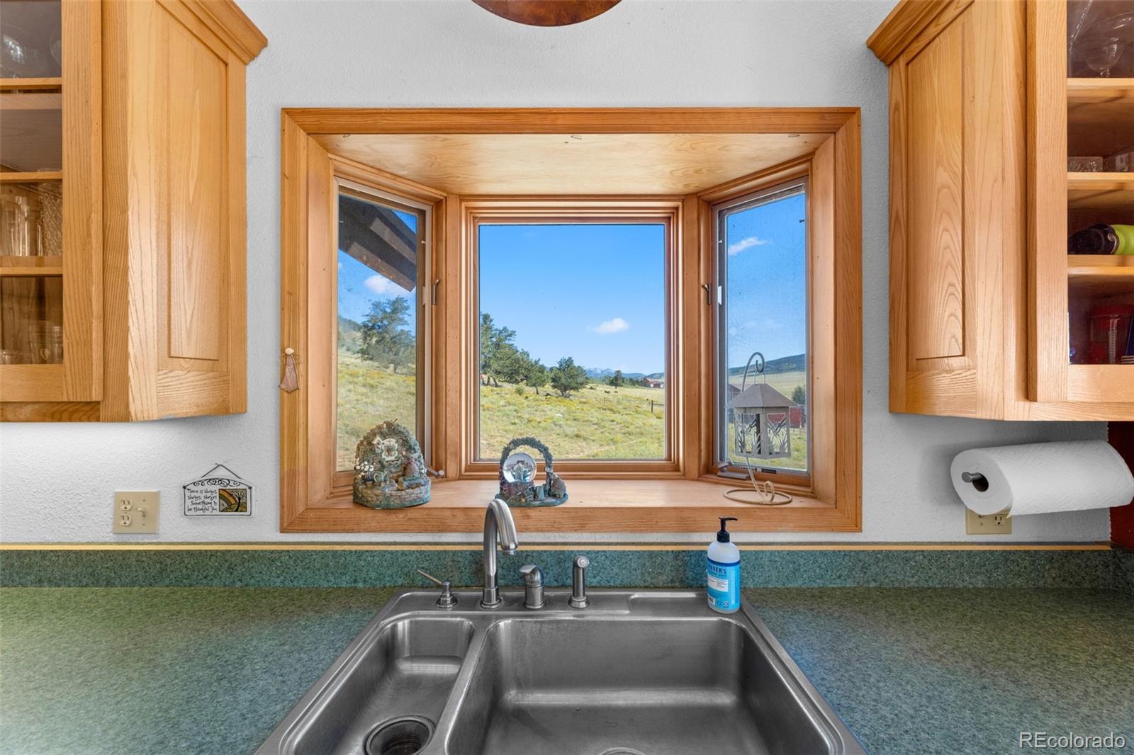 MLS Image #11 for 3436  platte river drive,como, Colorado