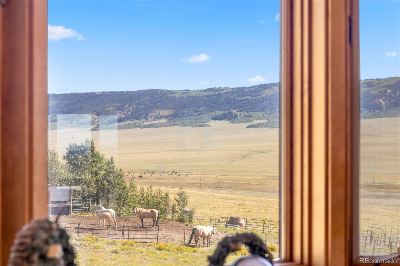 MLS Image #12 for 3436  platte river drive,como, Colorado