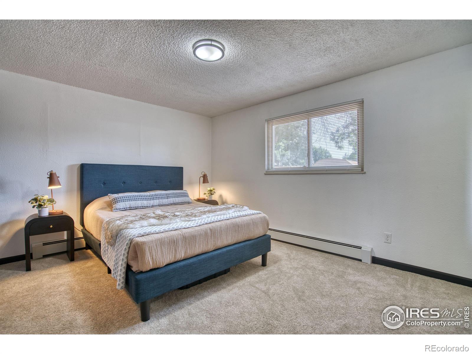 MLS Image #13 for 1608 s california avenue,loveland, Colorado