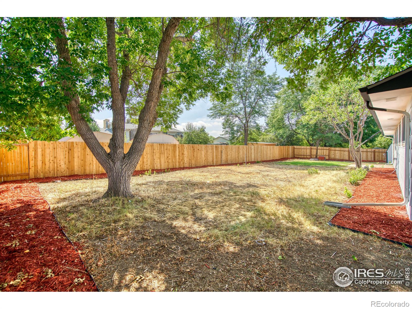 MLS Image #24 for 1608 s california avenue,loveland, Colorado