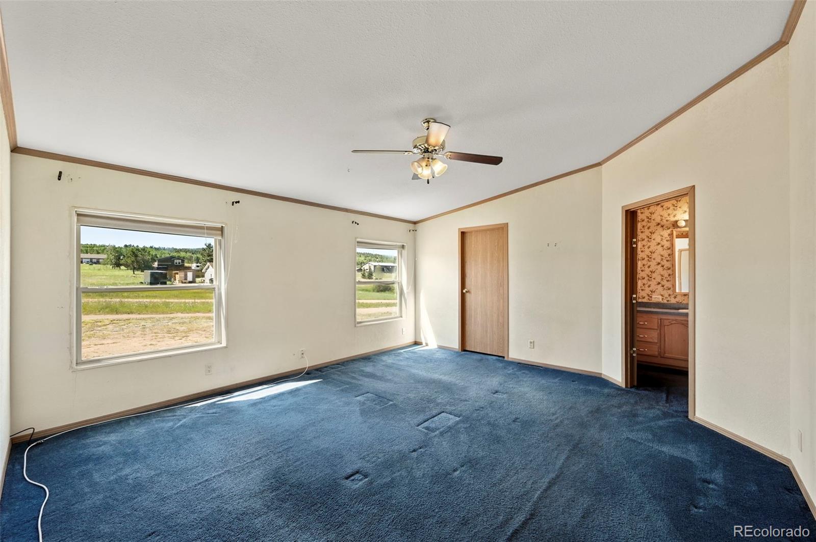 MLS Image #14 for 217 e minstrel drive,divide, Colorado