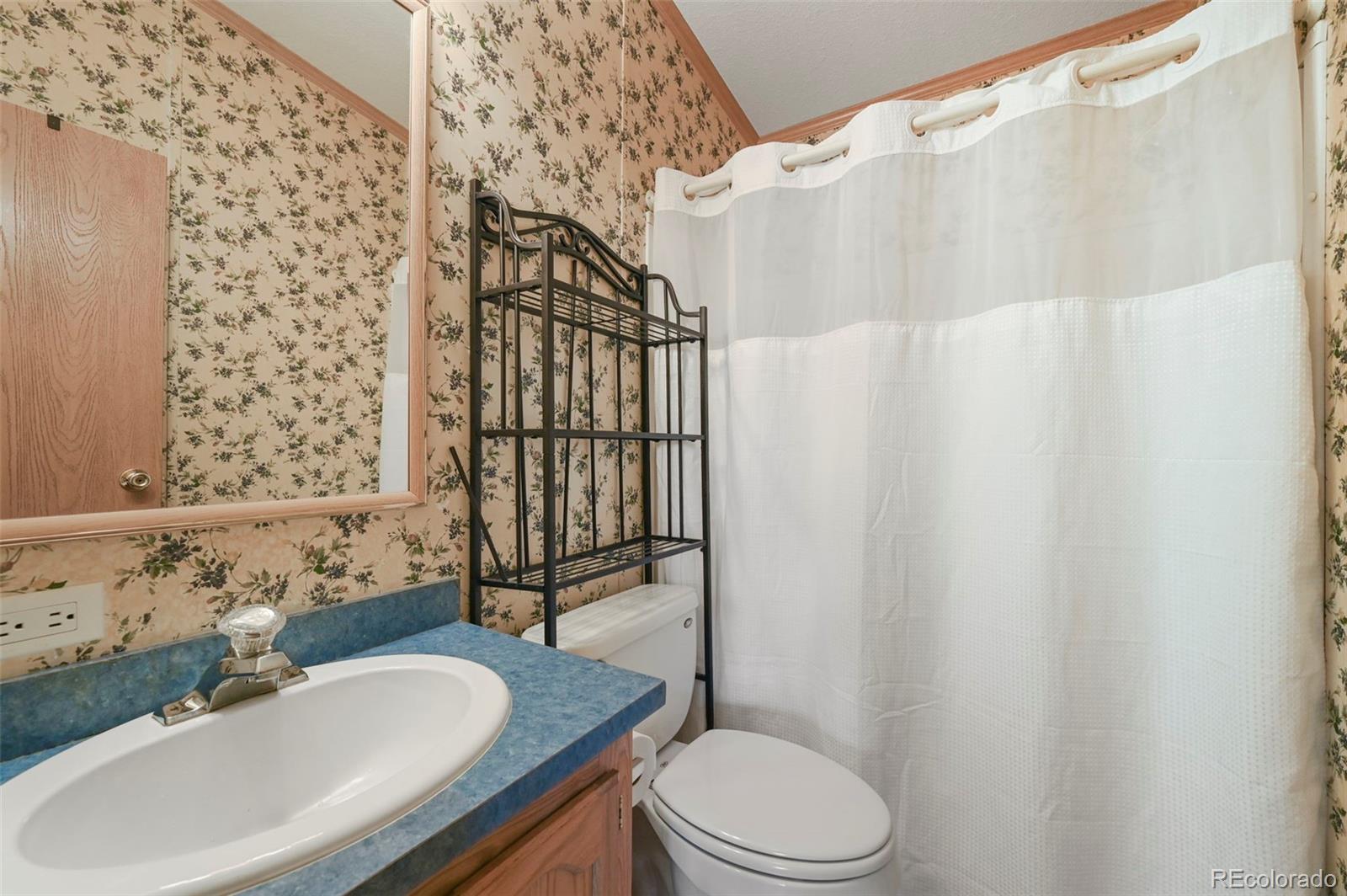 MLS Image #20 for 217 e minstrel drive,divide, Colorado