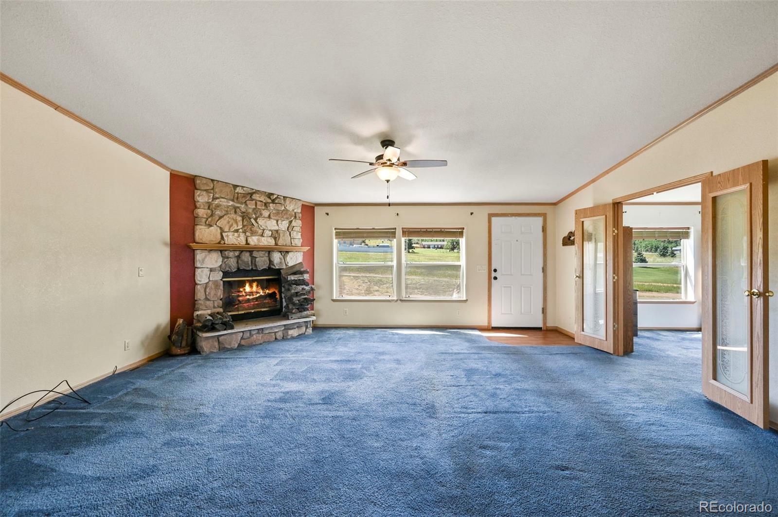 MLS Image #5 for 217 e minstrel drive,divide, Colorado