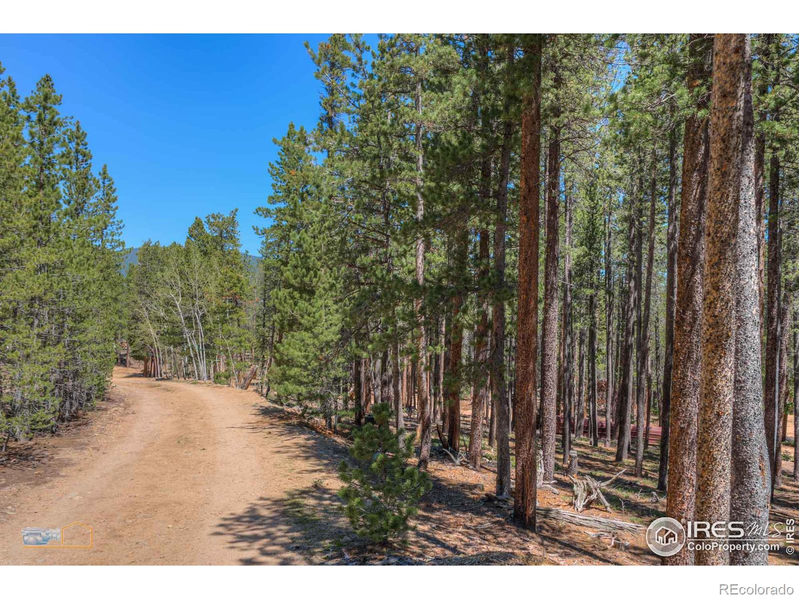 MLS Image #17 for 410  pine cone drive,ward, Colorado