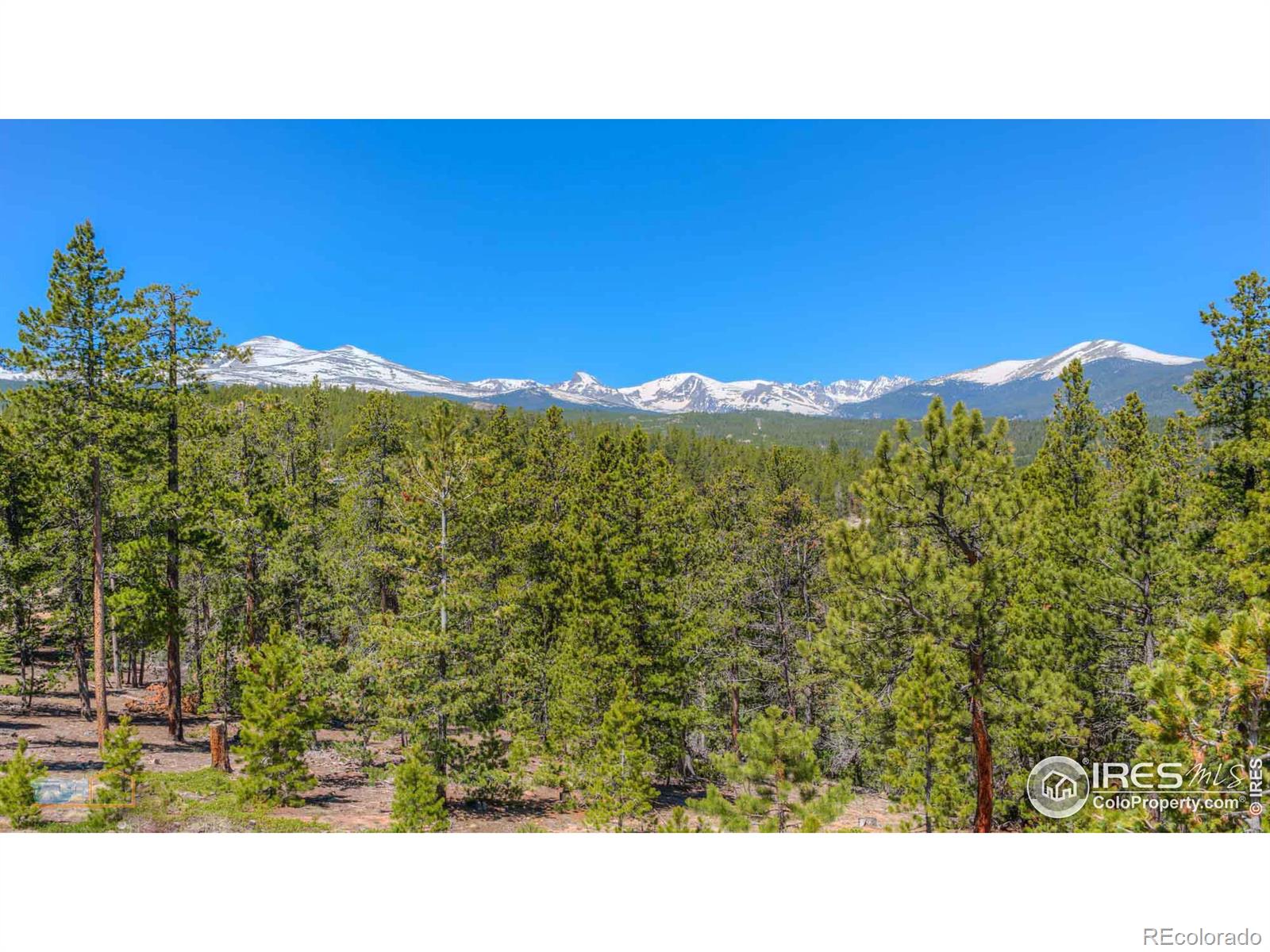 MLS Image #18 for 410  pine cone drive,ward, Colorado