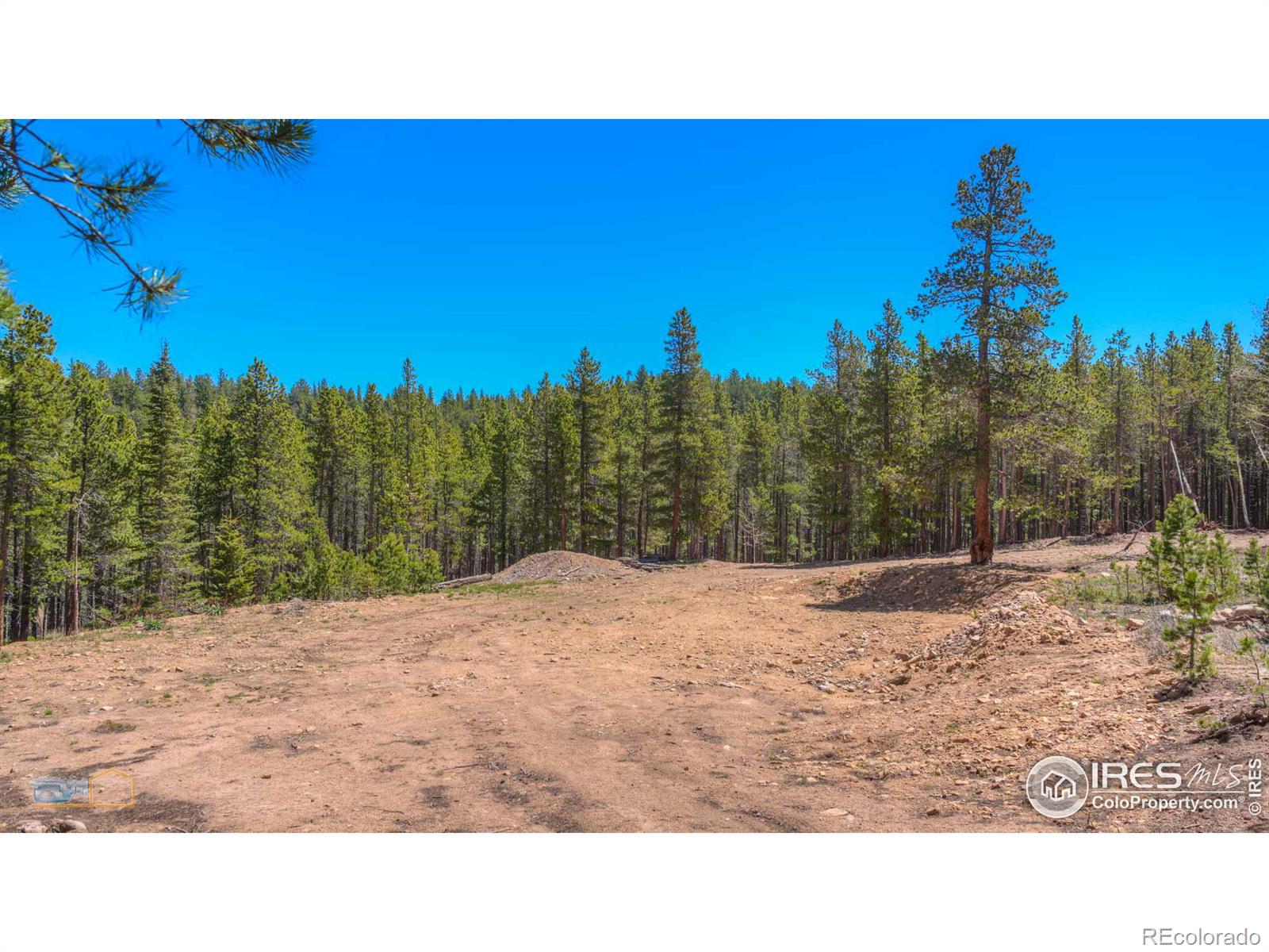 MLS Image #29 for 410  pine cone drive,ward, Colorado