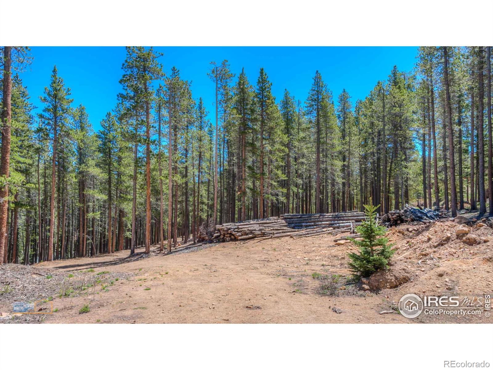 MLS Image #30 for 410  pine cone drive,ward, Colorado