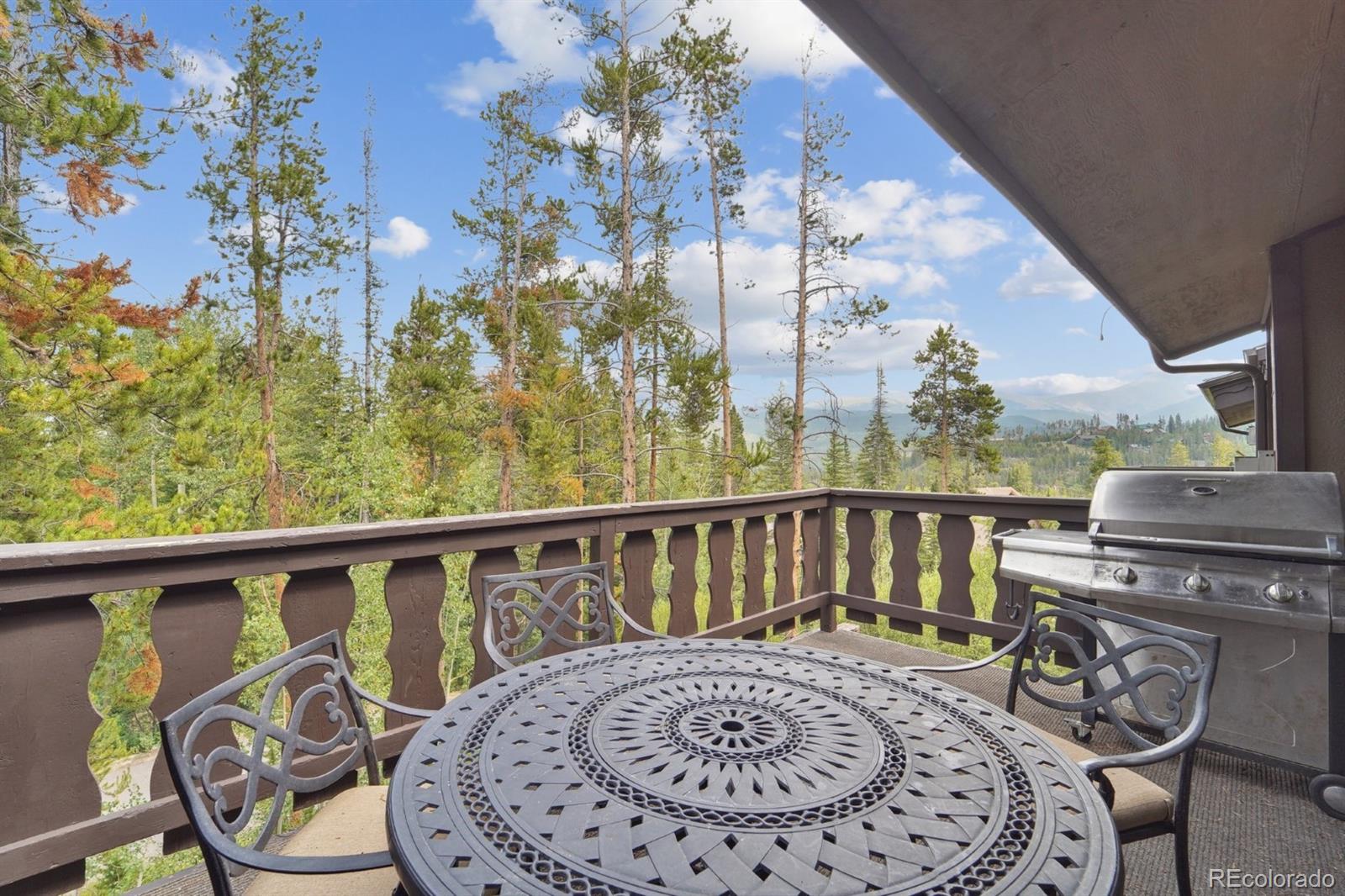 MLS Image #22 for 121  elk trail,winter park, Colorado