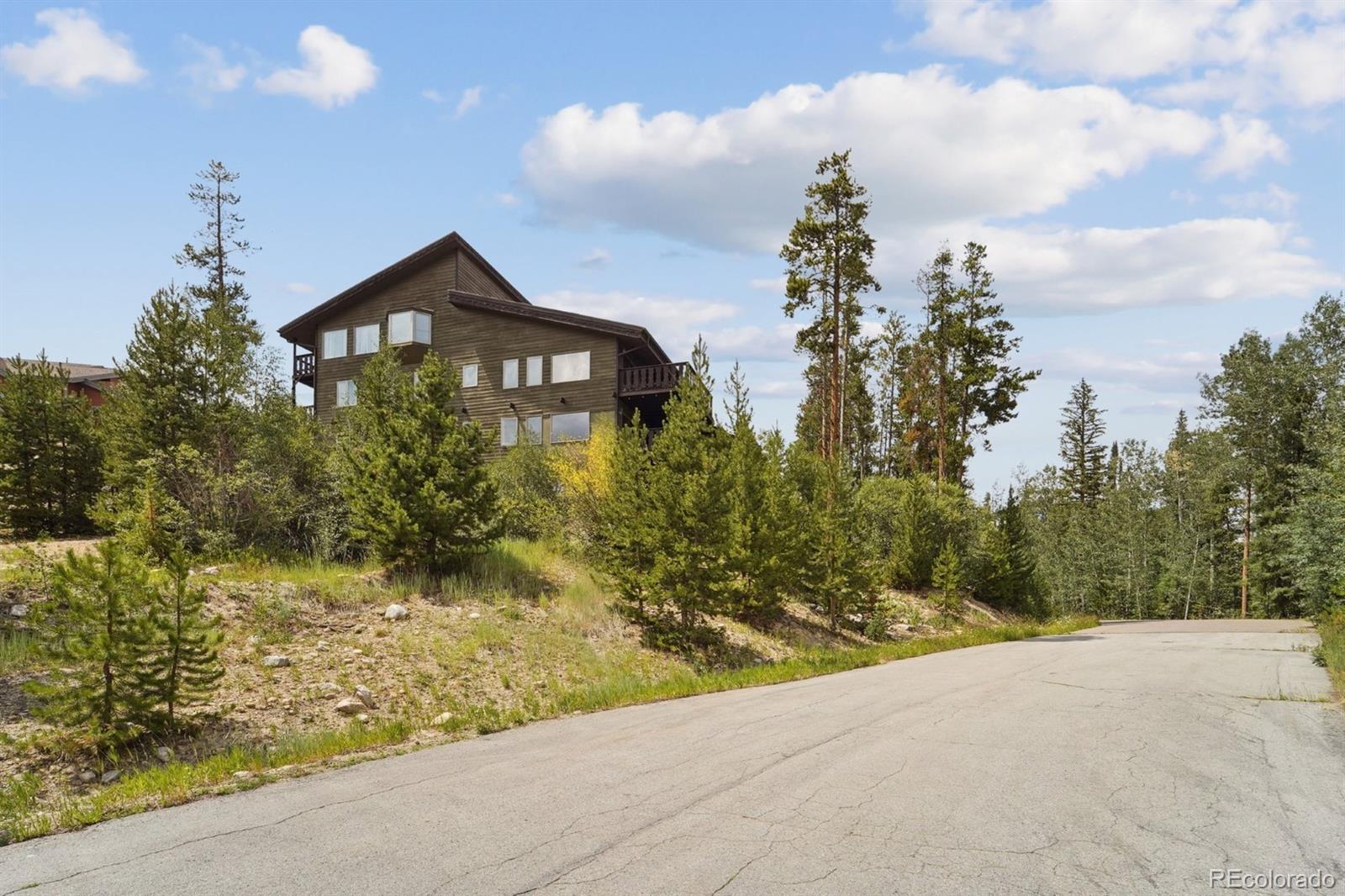 MLS Image #24 for 121  elk trail,winter park, Colorado