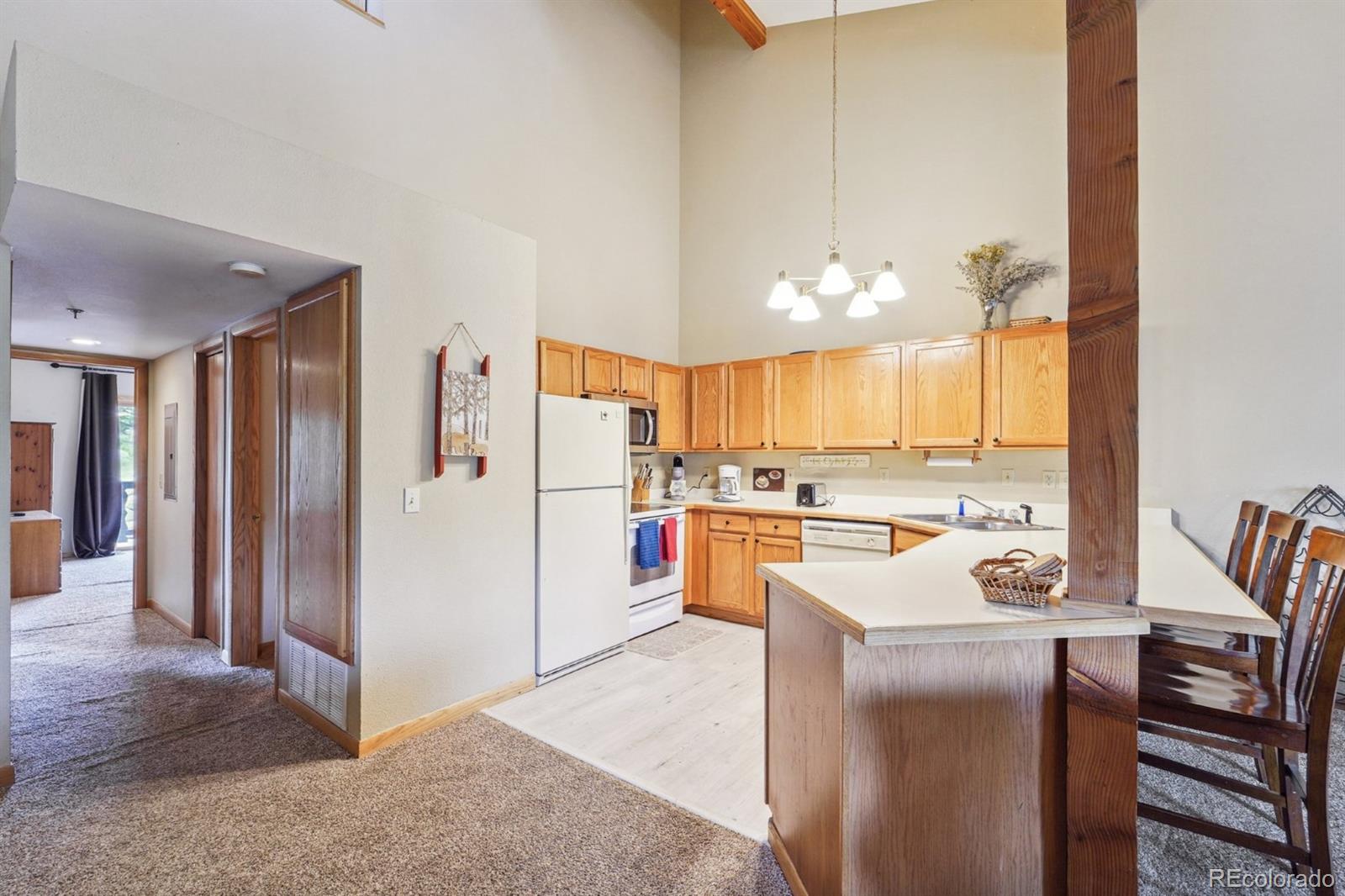 MLS Image #5 for 121  elk trail,winter park, Colorado