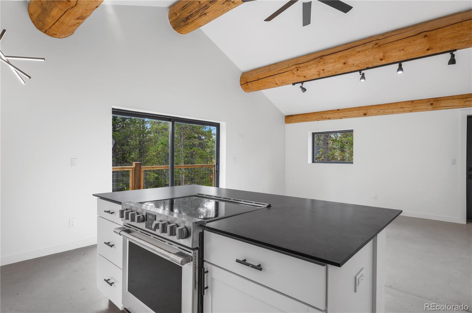 MLS Image #20 for 148  n. aspen street,alma, Colorado