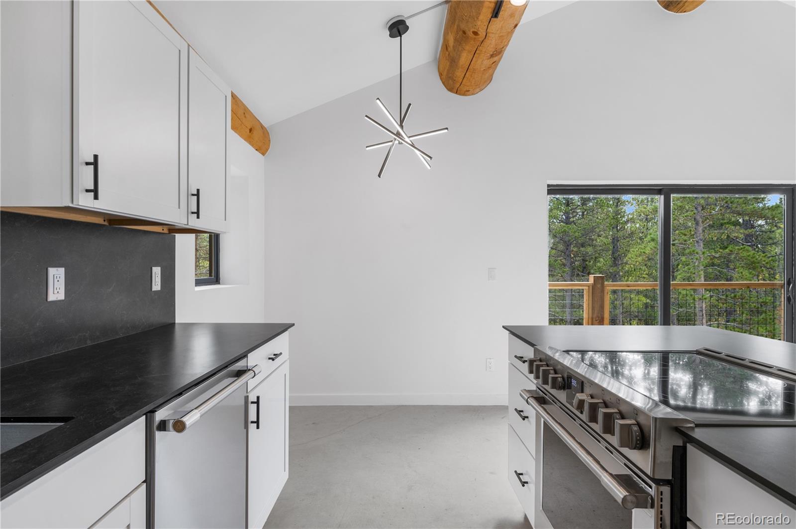 MLS Image #21 for 148  n. aspen street,alma, Colorado