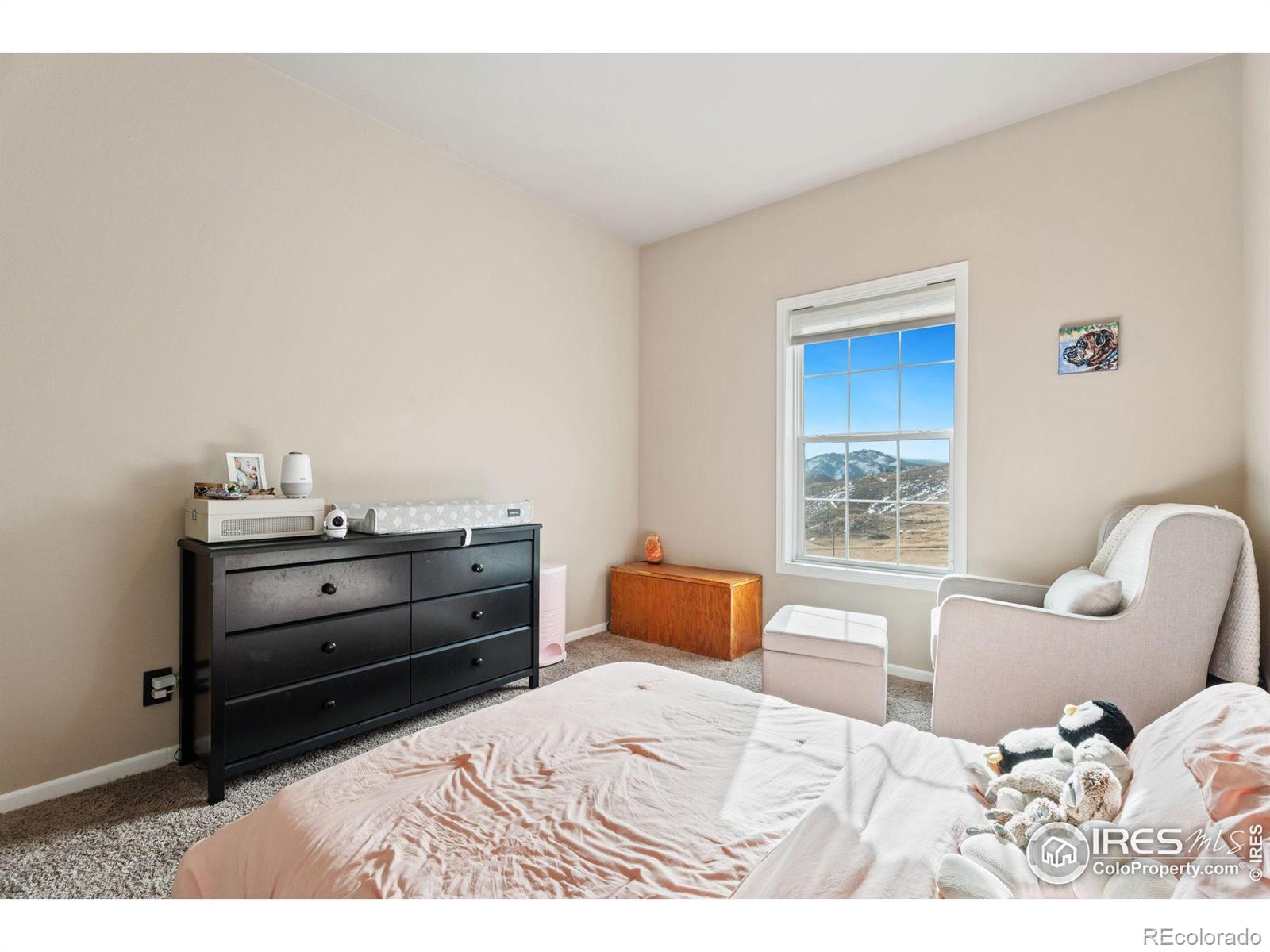 MLS Image #22 for 62  rabbit ears court,livermore, Colorado