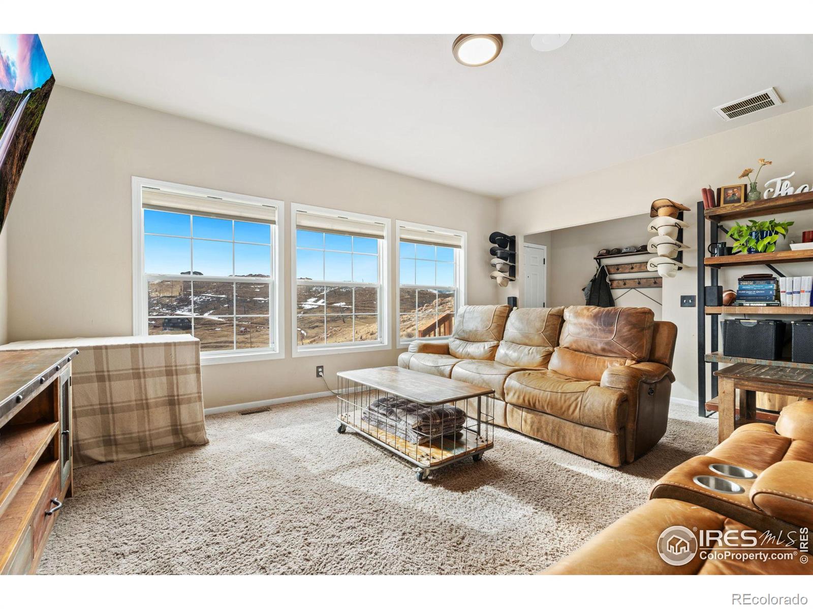 MLS Image #5 for 62  rabbit ears court,livermore, Colorado