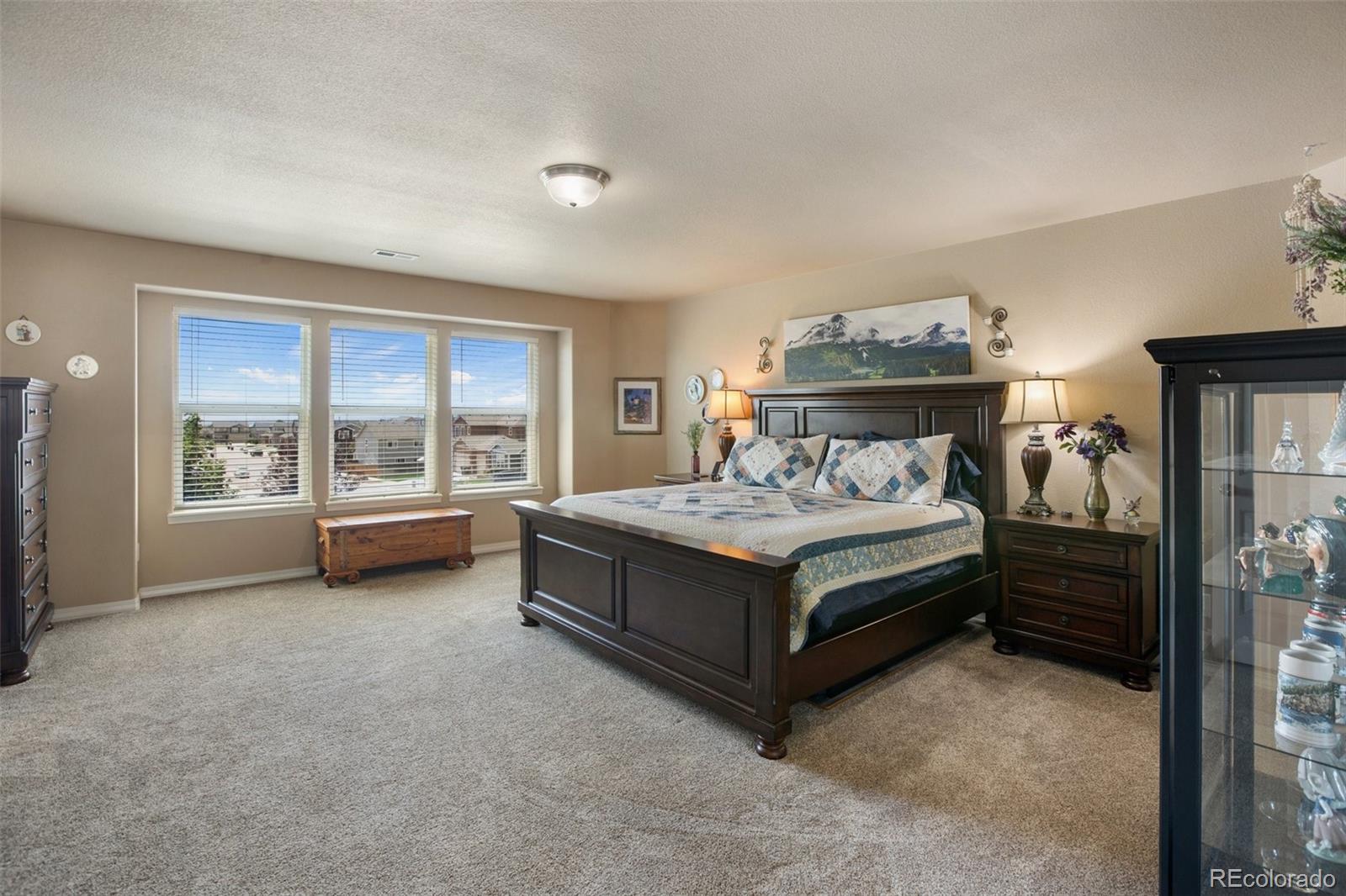 MLS Image #18 for 6205  finglas drive,colorado springs, Colorado