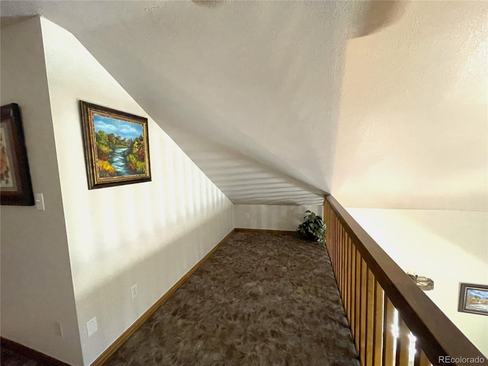 MLS Image #13 for 271  willow lane,alma, Colorado