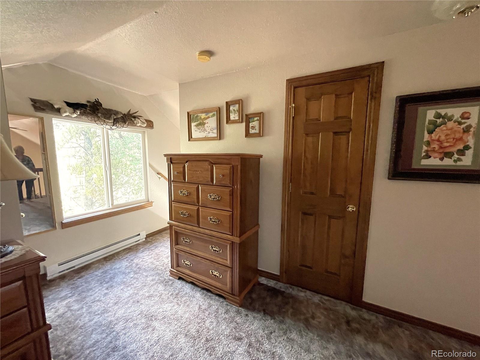 MLS Image #16 for 271  willow lane,alma, Colorado