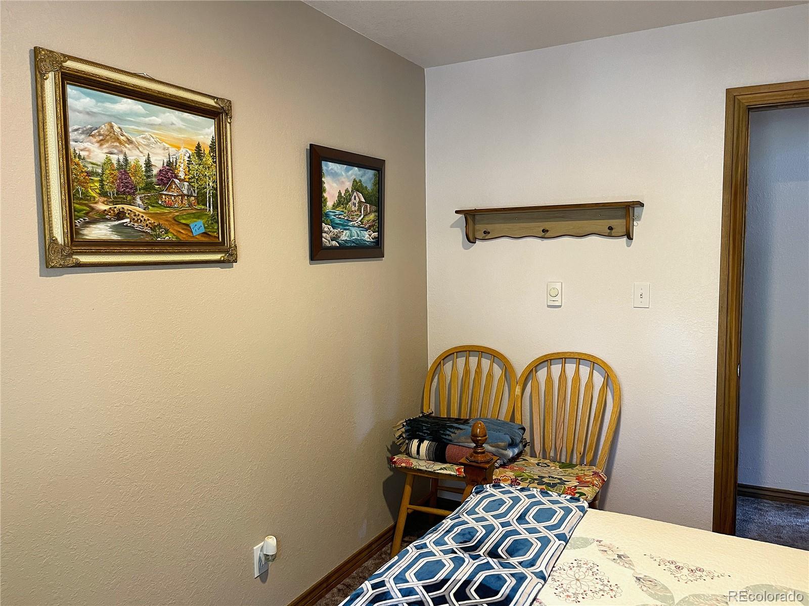 MLS Image #22 for 271  willow lane,alma, Colorado