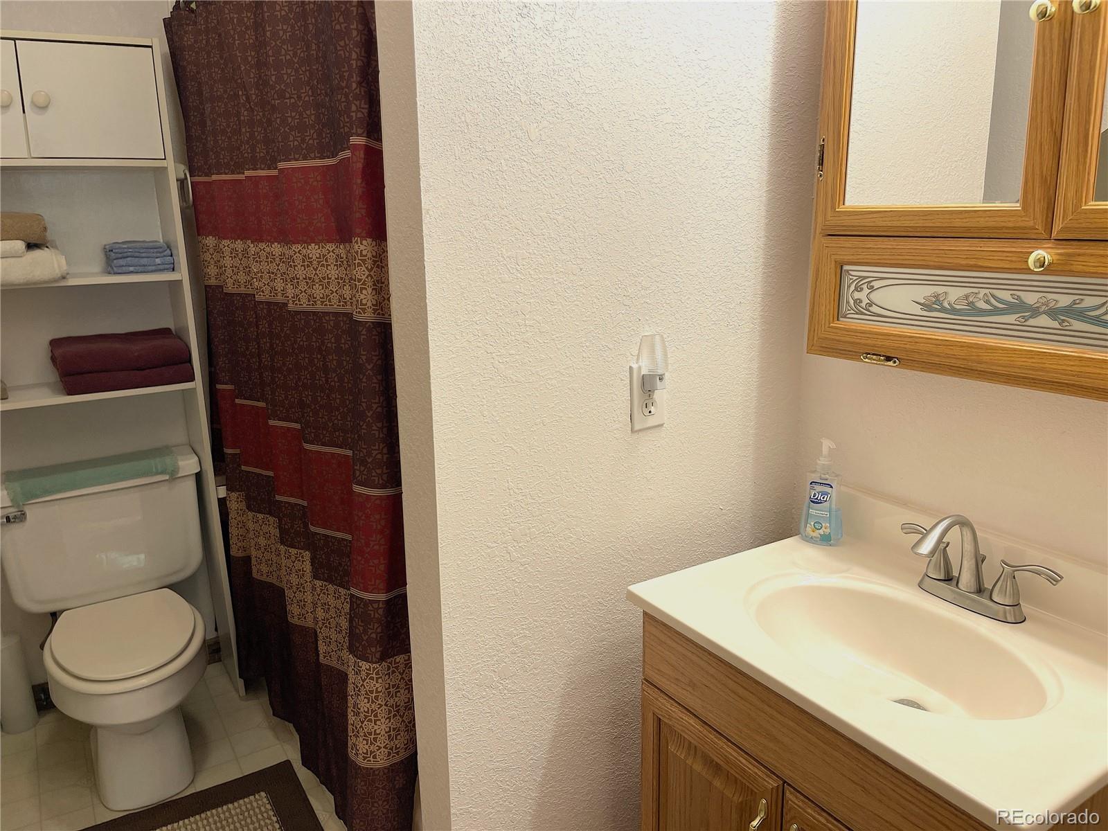 MLS Image #23 for 271  willow lane,alma, Colorado