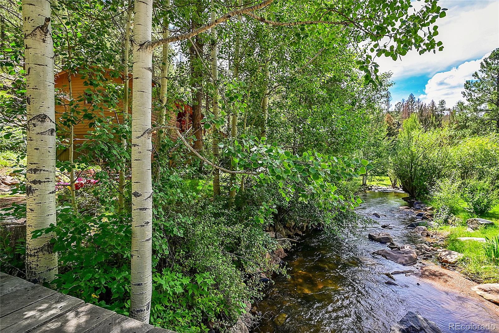 MLS Image #4 for 14432 s elk creek road,pine, Colorado