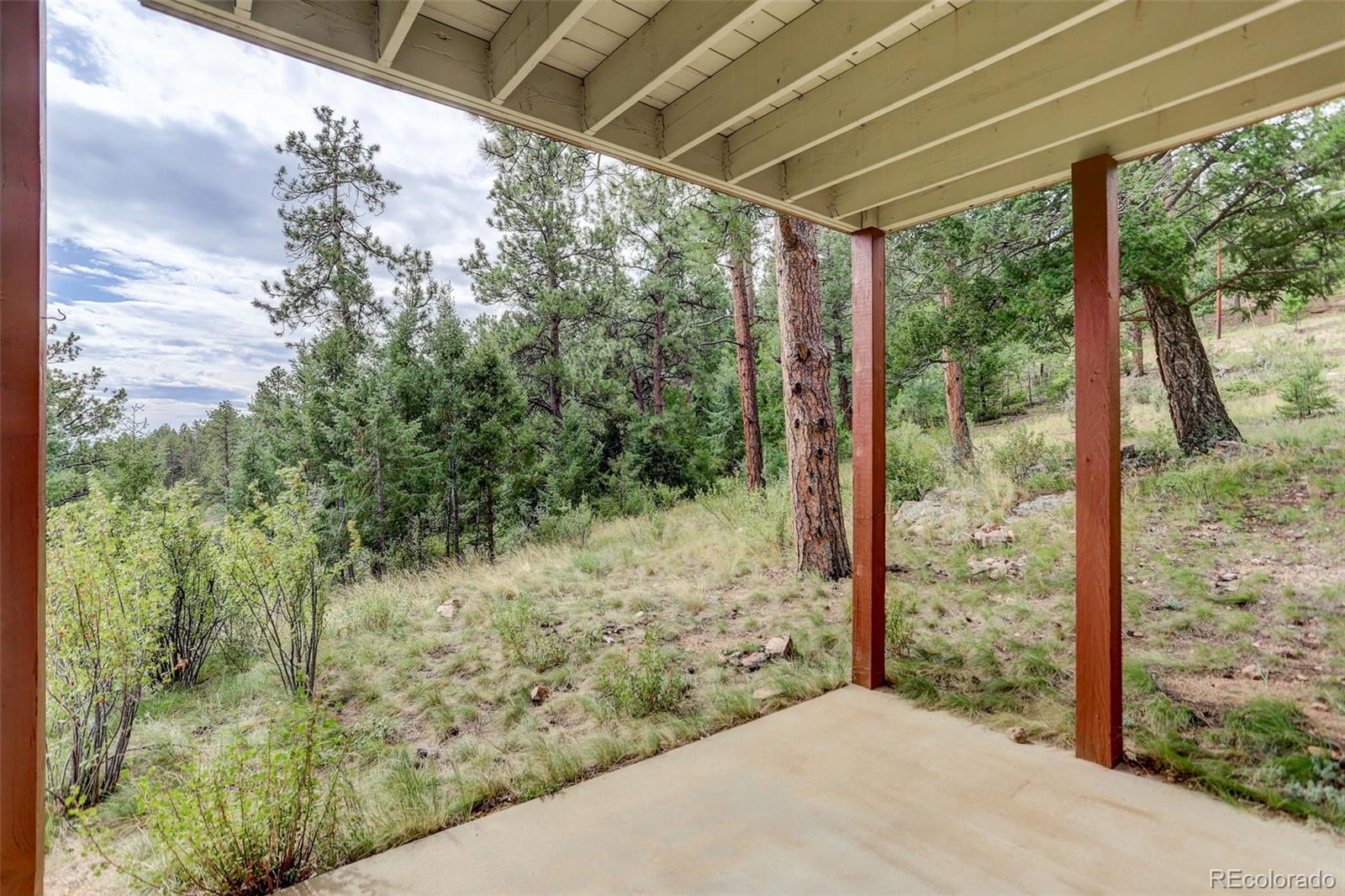 MLS Image #47 for 32304  meadow ridge lane,pine, Colorado