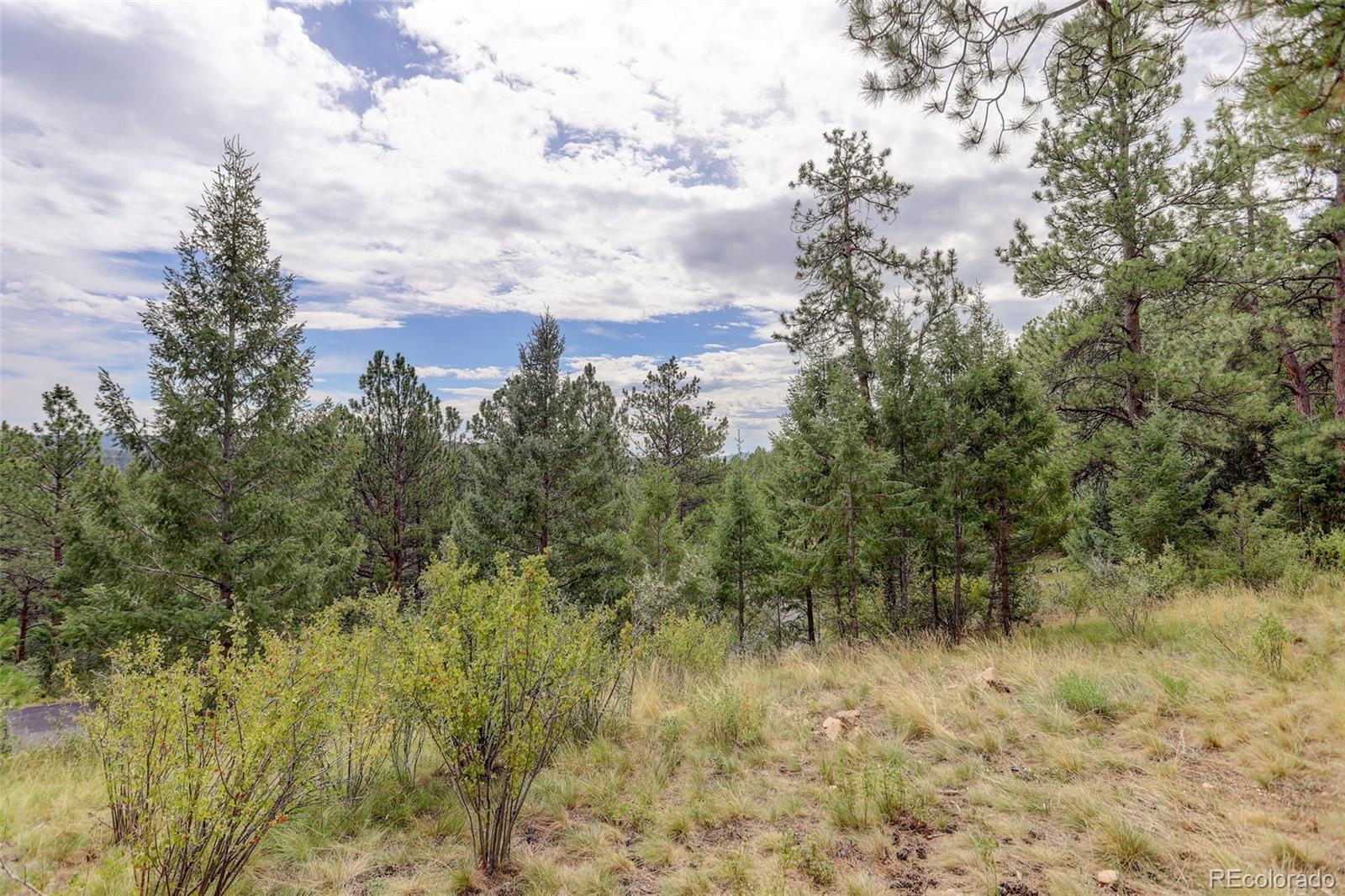 MLS Image #6 for 32304  meadow ridge lane,pine, Colorado