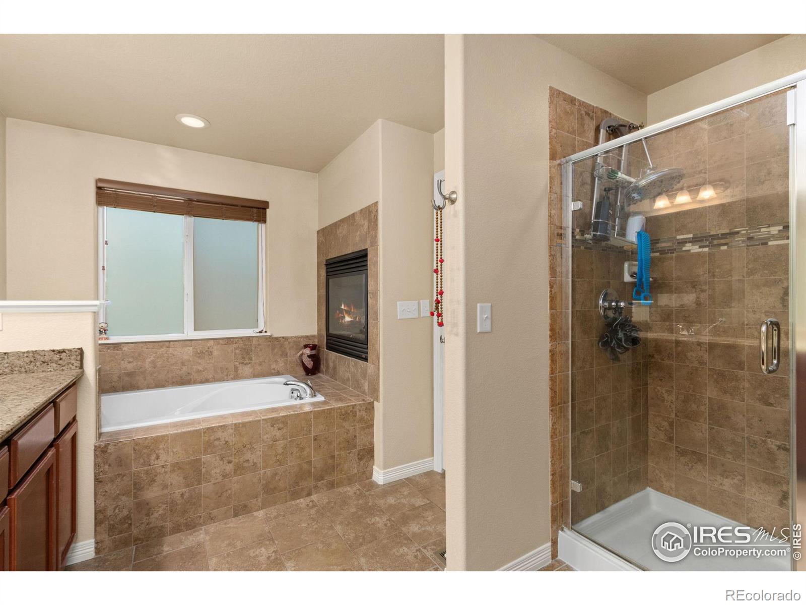 MLS Image #17 for 493  sundance drive,windsor, Colorado